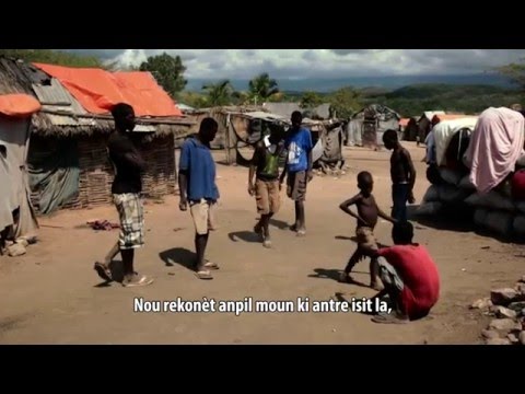 Cover image for Anse-a-Pitres Report: Expulsions of Dominicans and Haitians