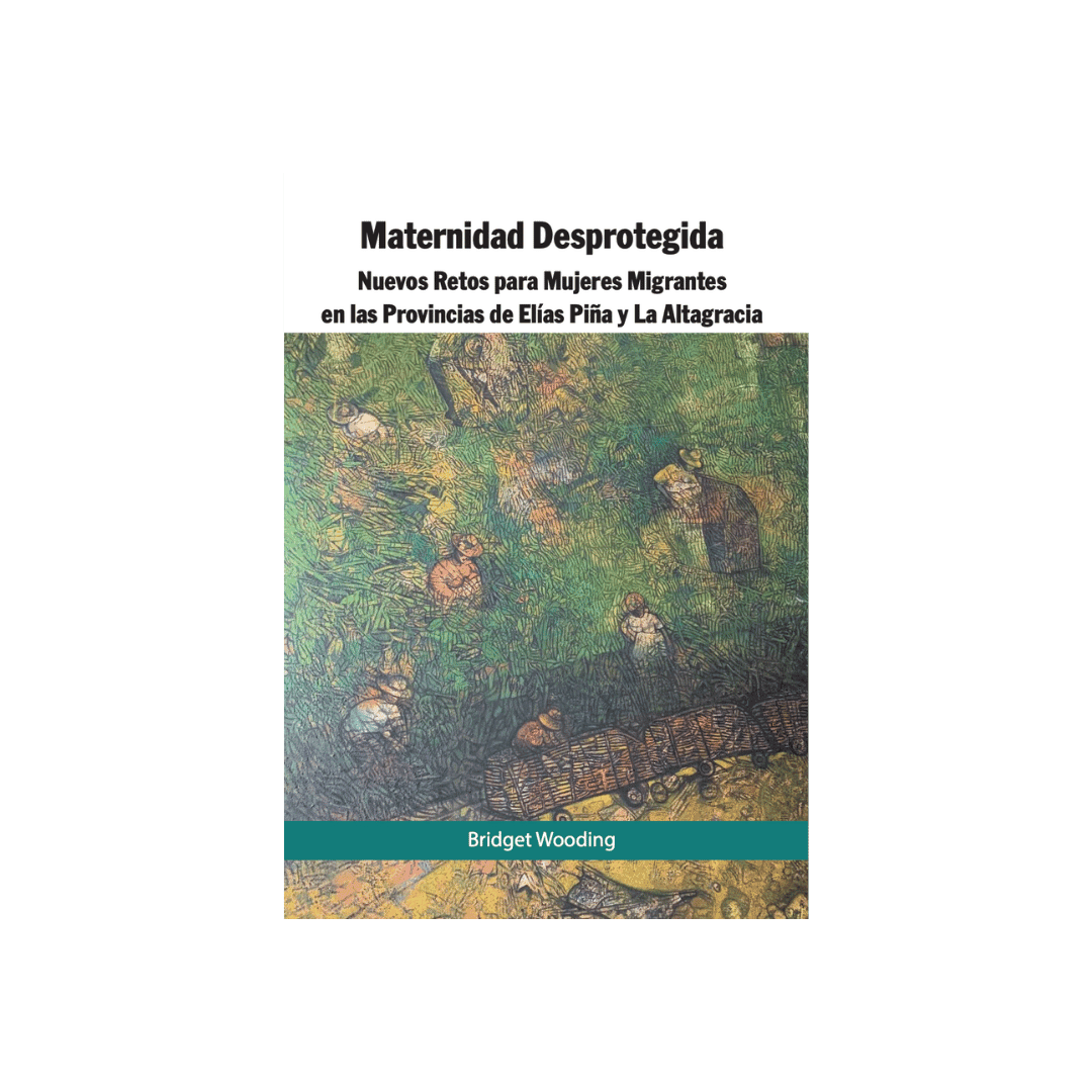 Portada de Maternidad Desprotegida