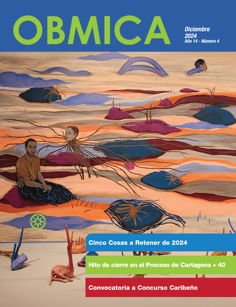 Image de ?ditorial du bulletin OBMICA d?cembre 2024