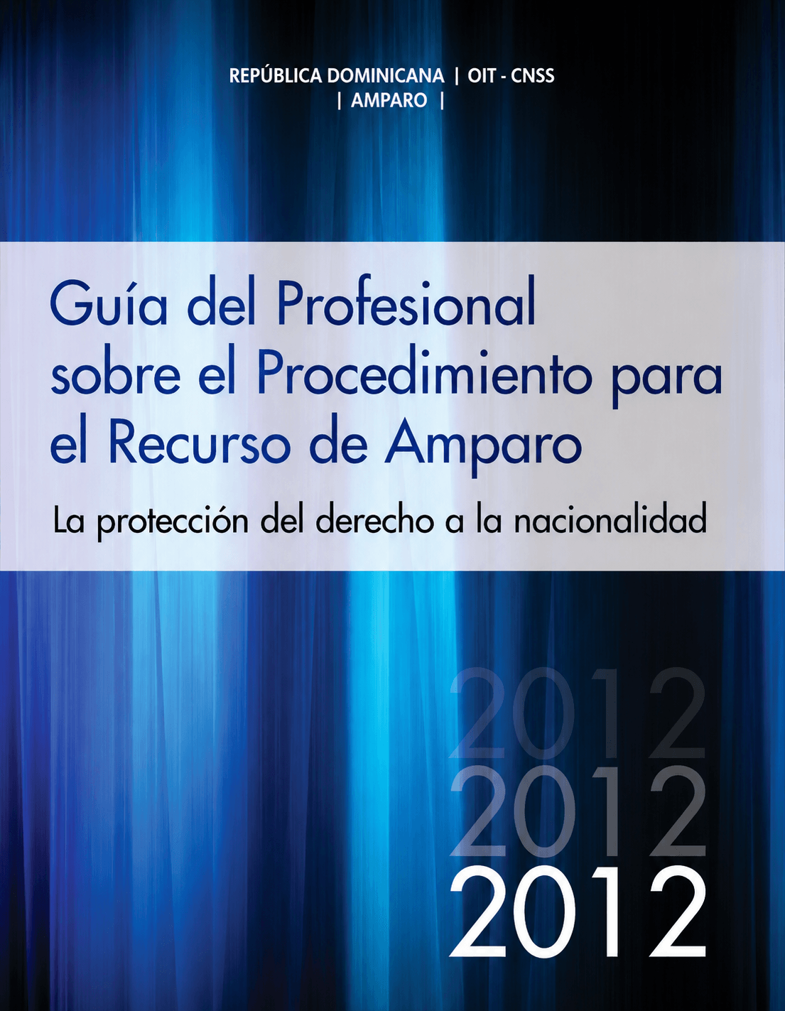 Cover of Professional Guide to the Procedure for the Writ of Amparo
